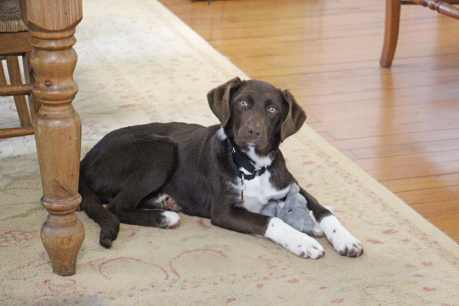 Gwennie photo 1