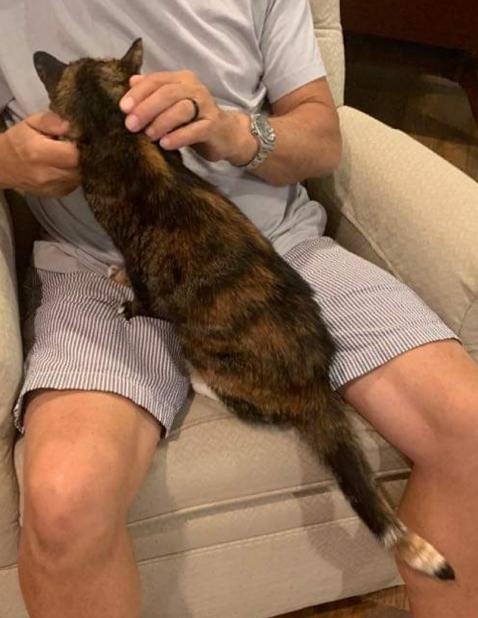 Enlarge Sissy, a Adoptable mixed breed in Magnolia Springs, AL image 2/3