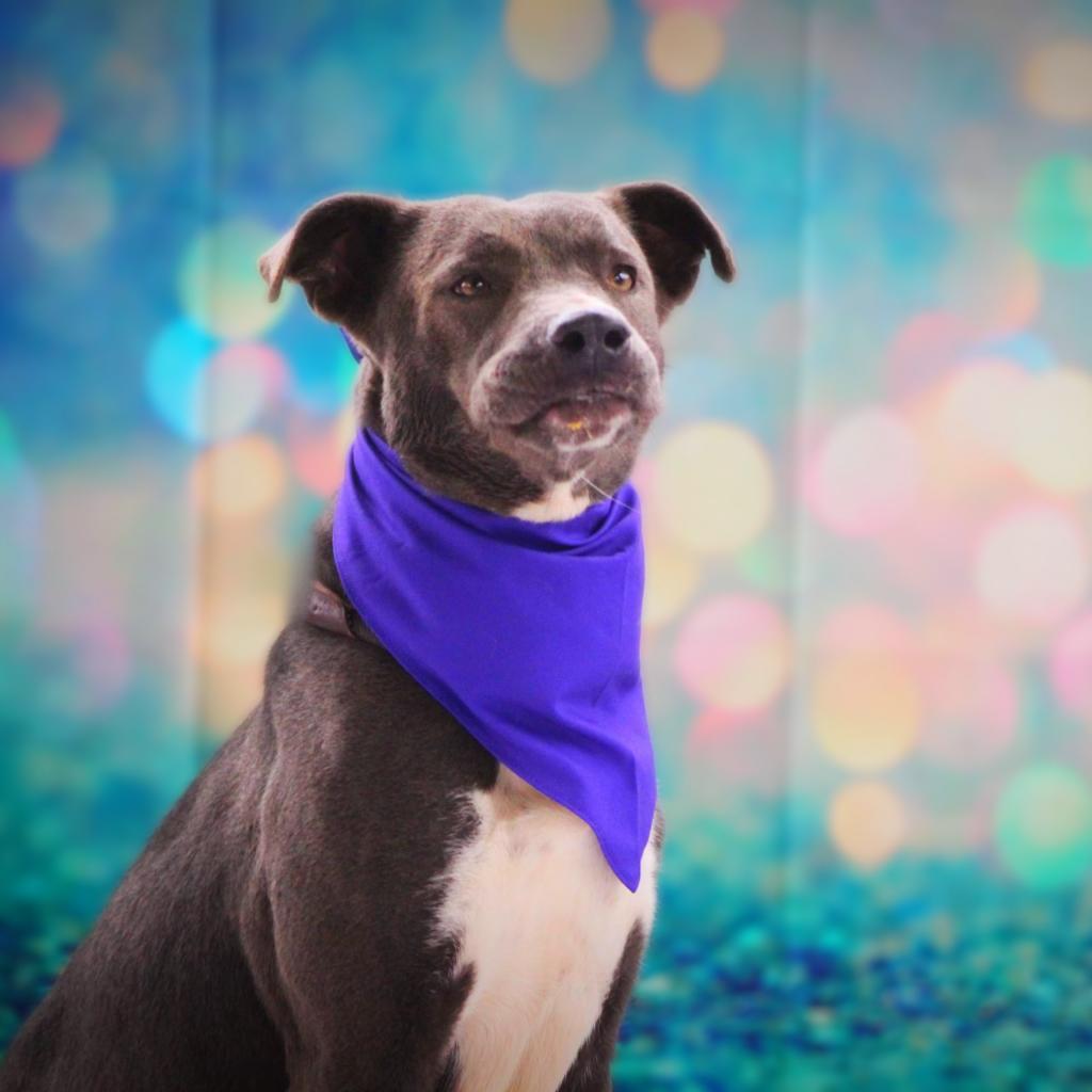 Maxine JuM — thumbnail 4