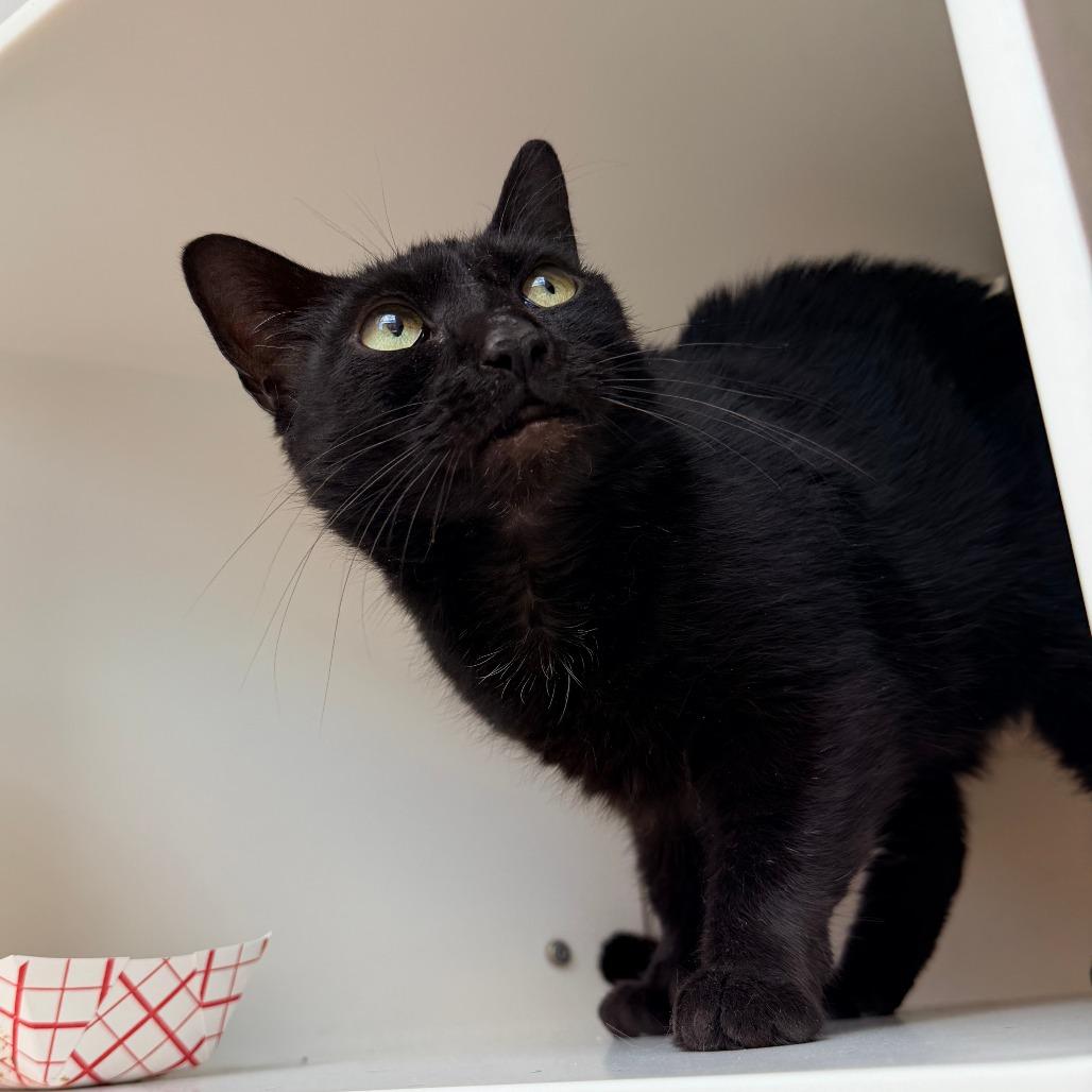 Ashley — thumbnail 2