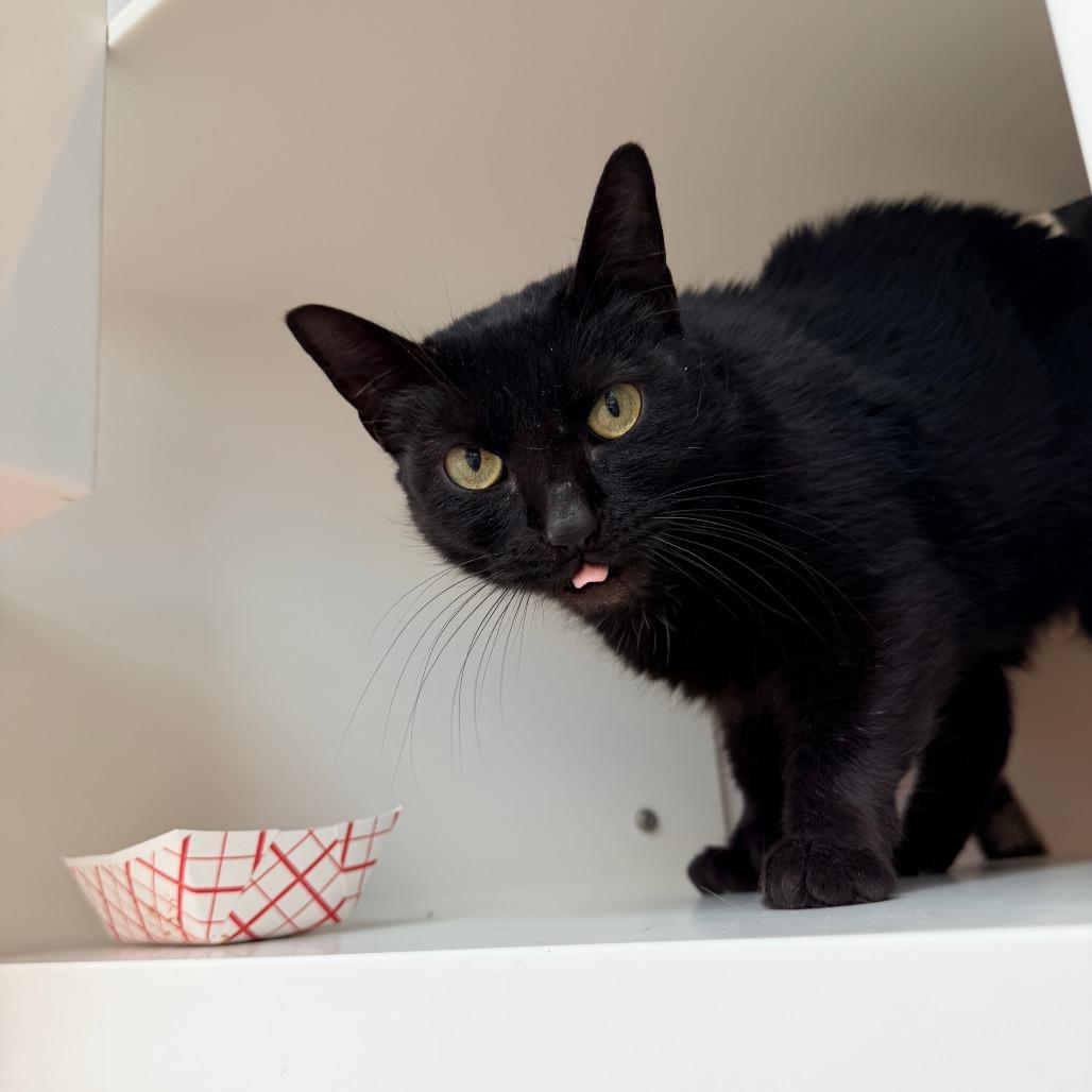 Ashley — thumbnail 3