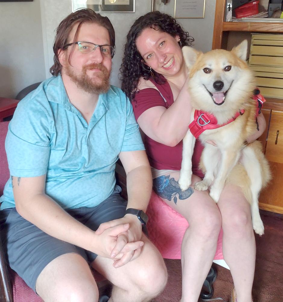 Enlarge Yoshi, a Adopted Shiba Inu in Camden, SC image 1/6