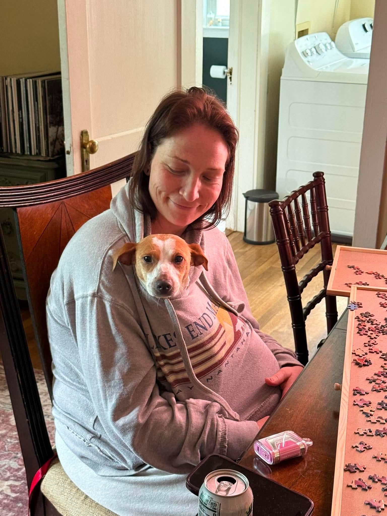 Enlarge Zoom, a ADOPTABLE Jack Russell Terrier in Marshall, NC image 2/6