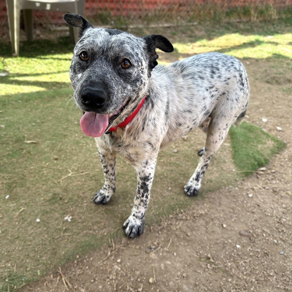 Carl — thumbnail 3