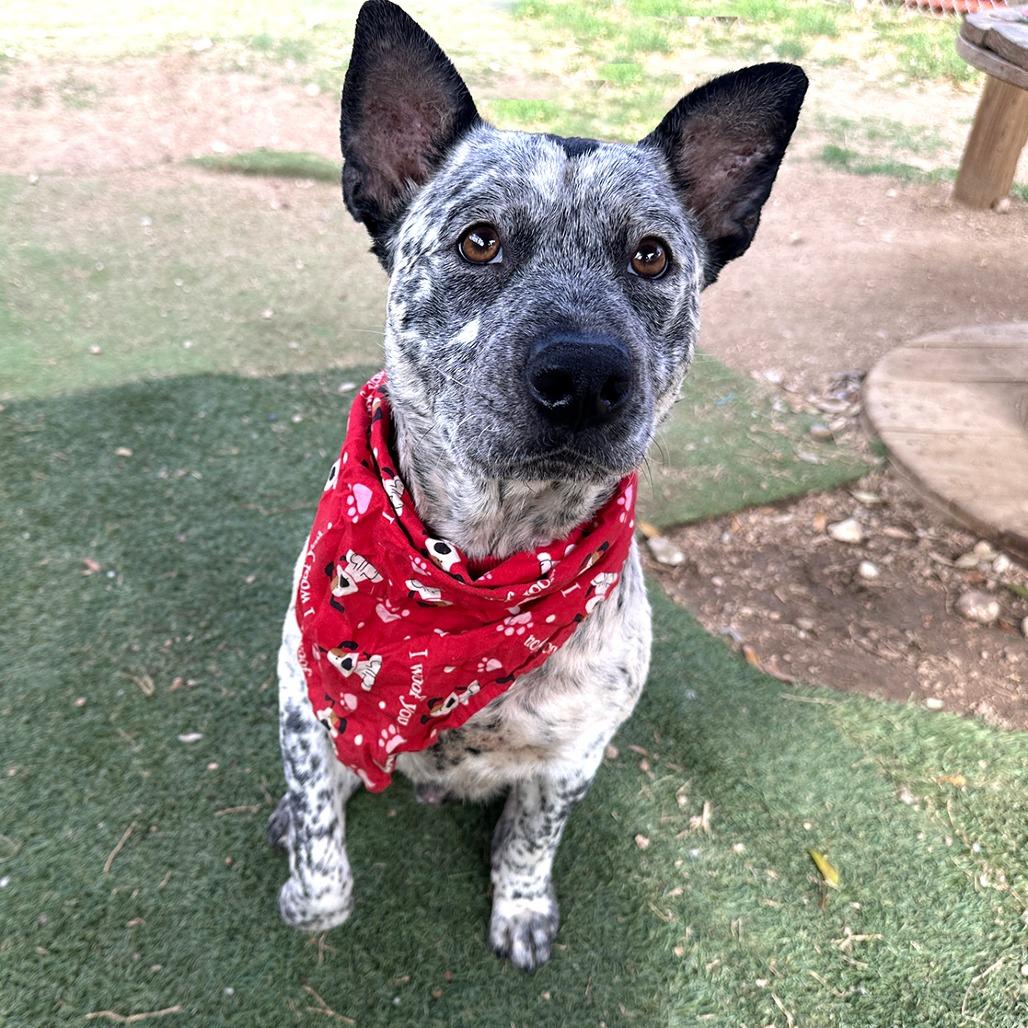 Carl — thumbnail 4