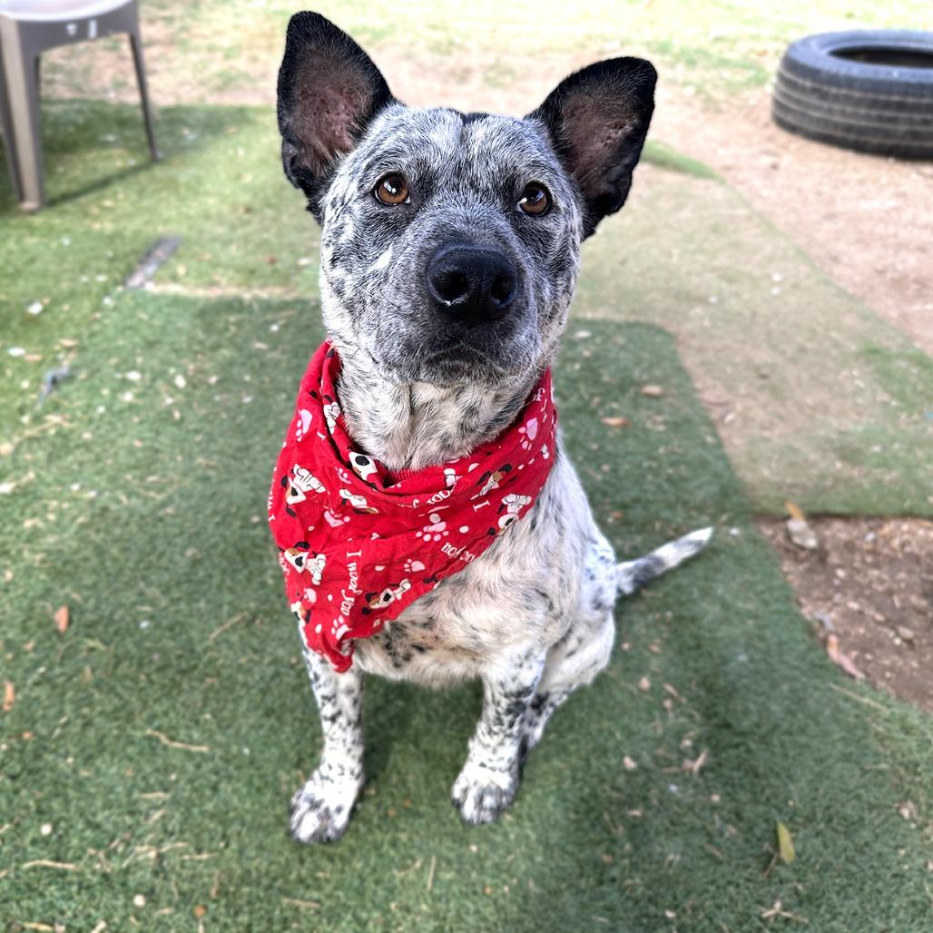 Carl — thumbnail 5