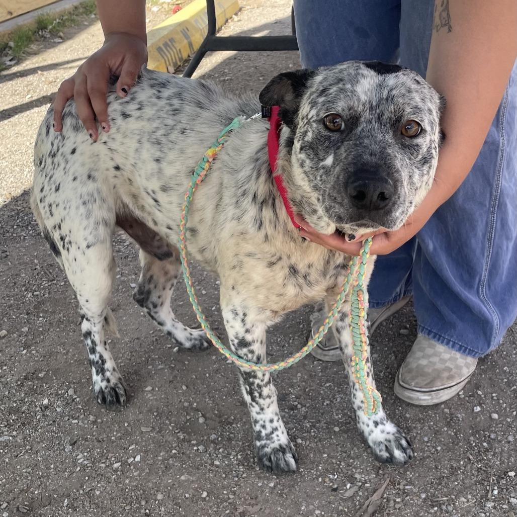 Carl — thumbnail 6