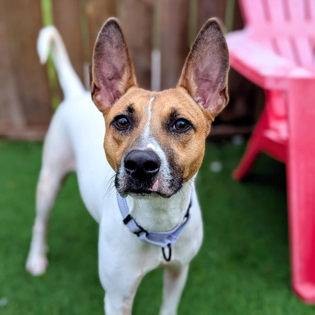 Hamilton thumbnail 2