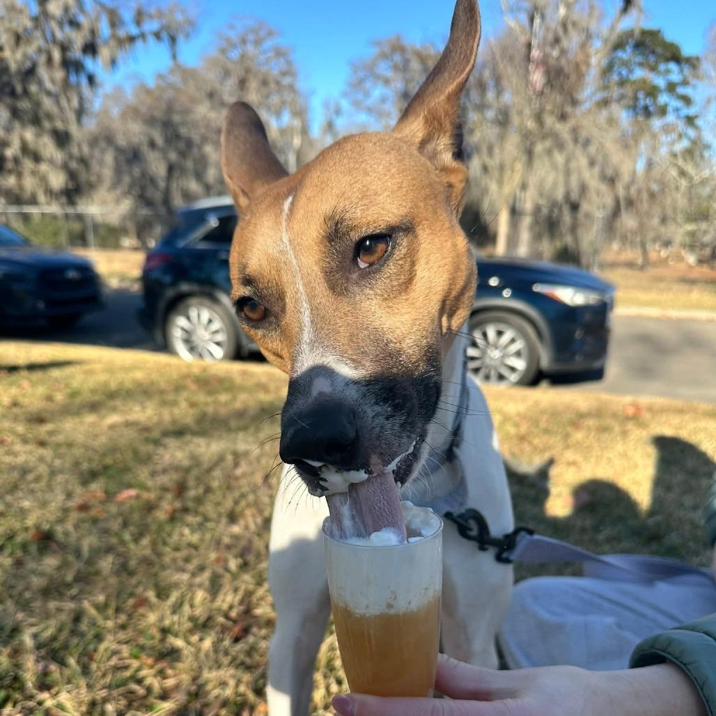 Hamilton thumbnail 4