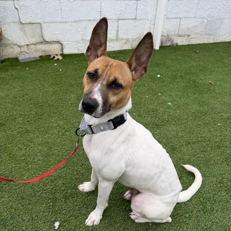 Hamilton thumbnail 5