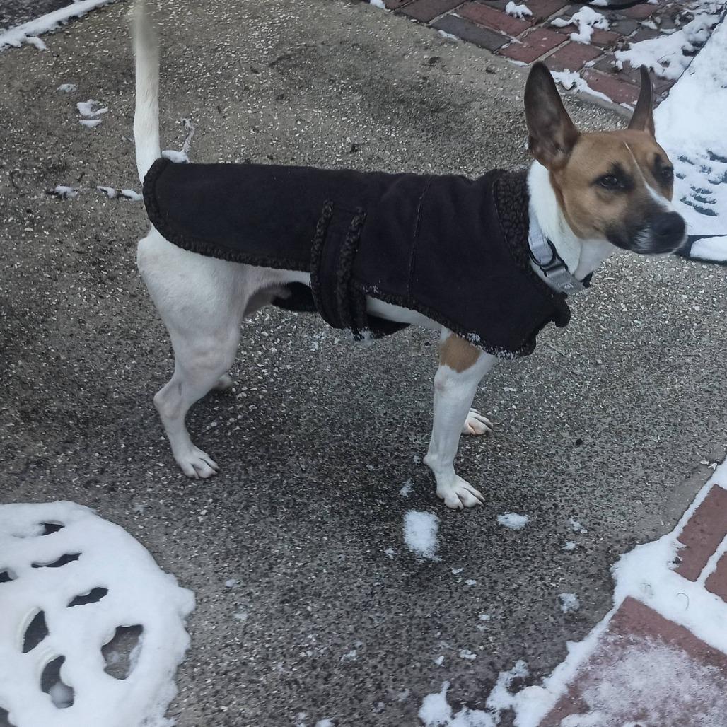 Hamilton thumbnail 6