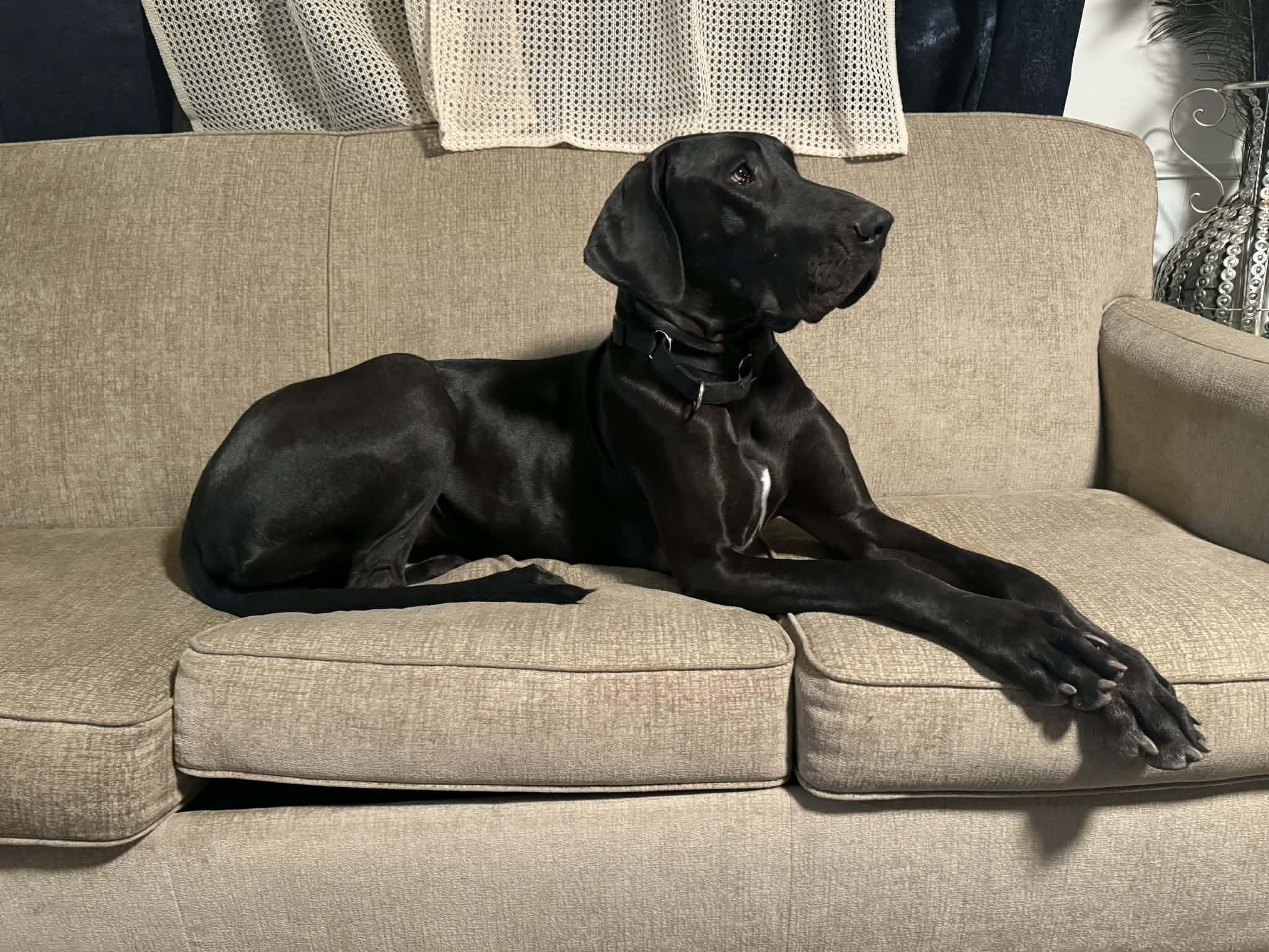 Bellemont thumbnail 2