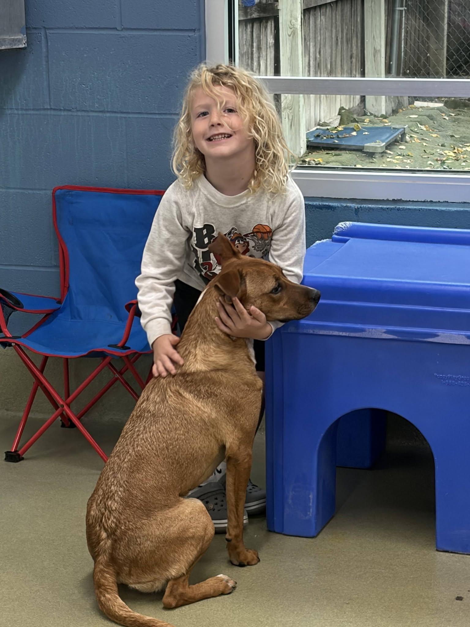 Enlarge Betsy, a Adoptable mixed breed in Kansas City, MO image 3/6