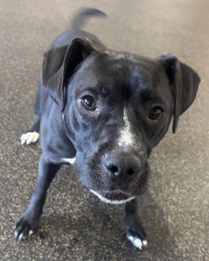 Noelle — thumbnail 3