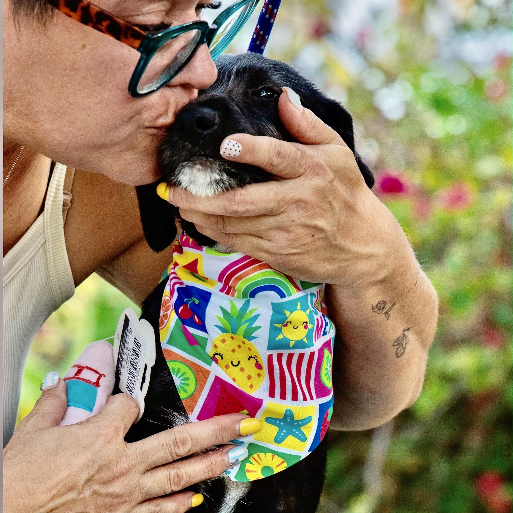 Enlarge Phoebe, a ADOPTABLE mixed breed in Orlando, FL image 3/4