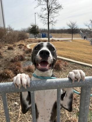 Mama Mashed Potatoes — thumbnail 2