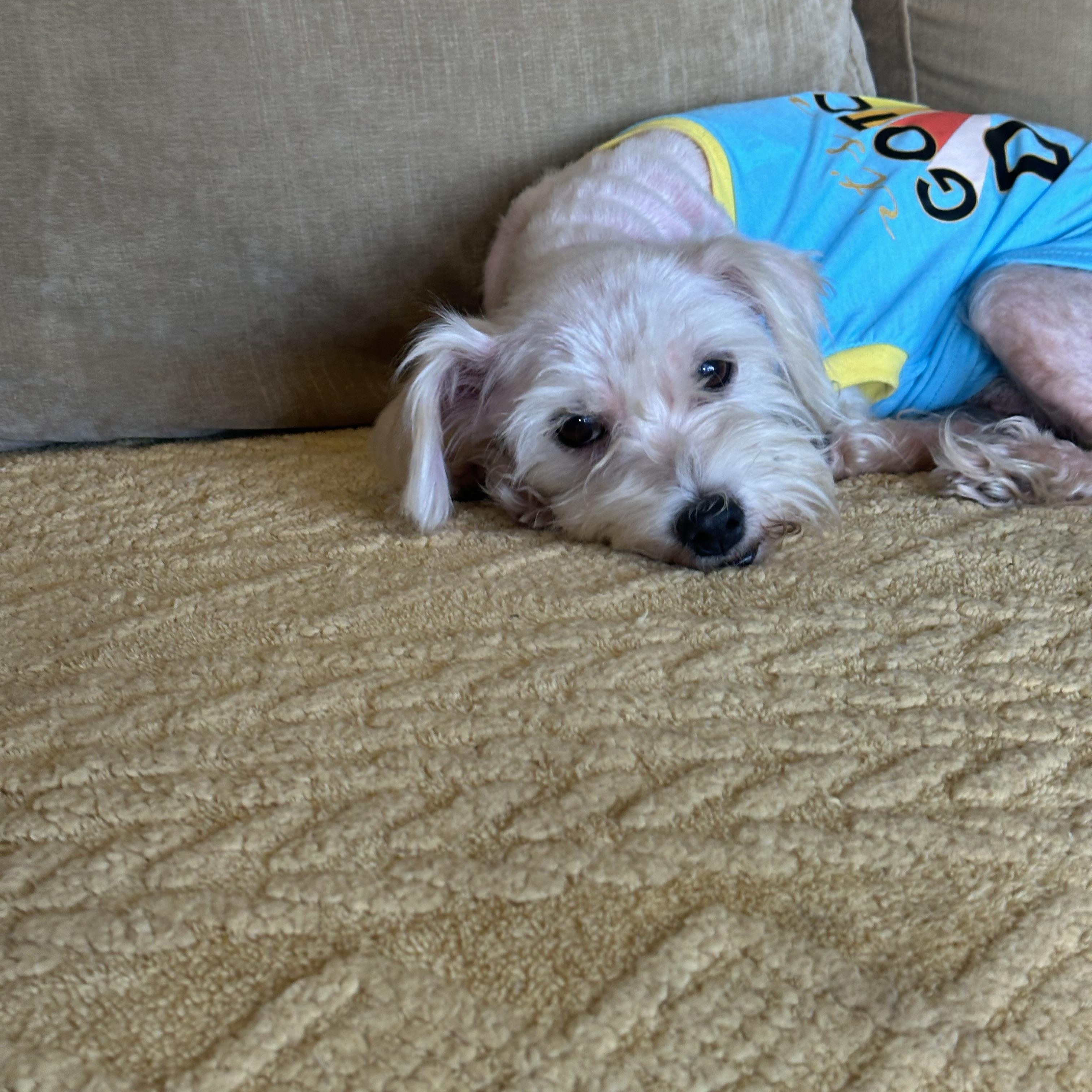 Bailey — thumbnail 3