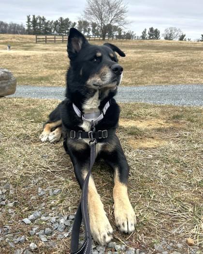 Little Boy thumbnail 5