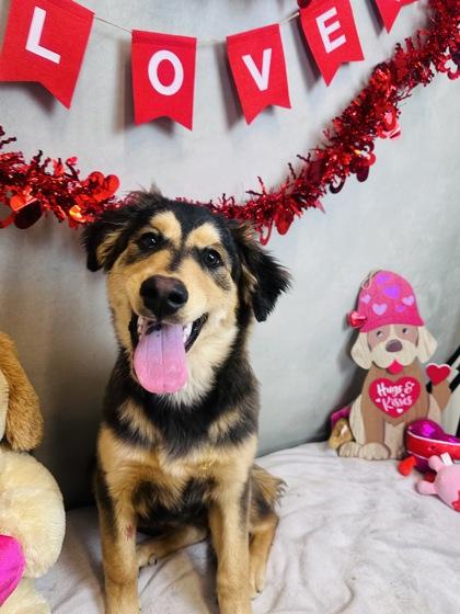 Rascal — thumbnail 2