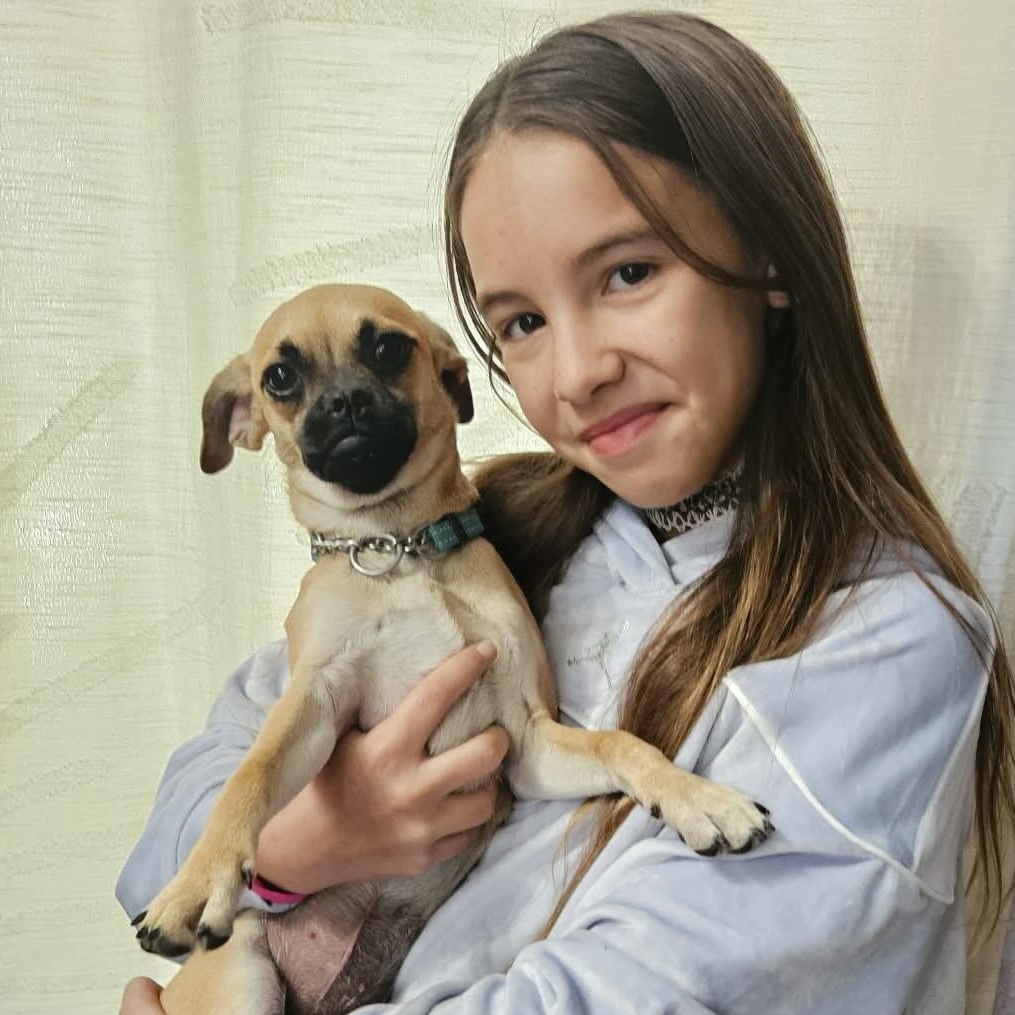 Enlarge Angie, a Adoptable mixed breed in Benbrook, TX image 1/6