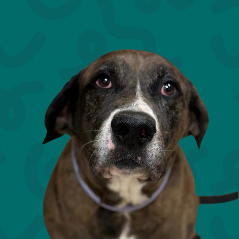 Fred — thumbnail 2