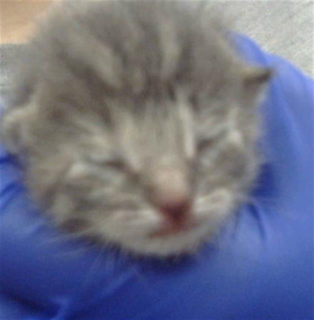 SPOT — thumbnail 2