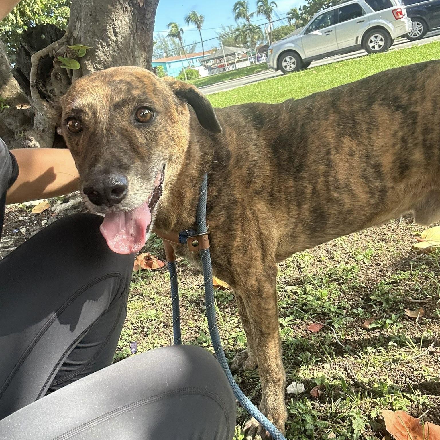 Tahoe (20260303-01) — thumbnail 2