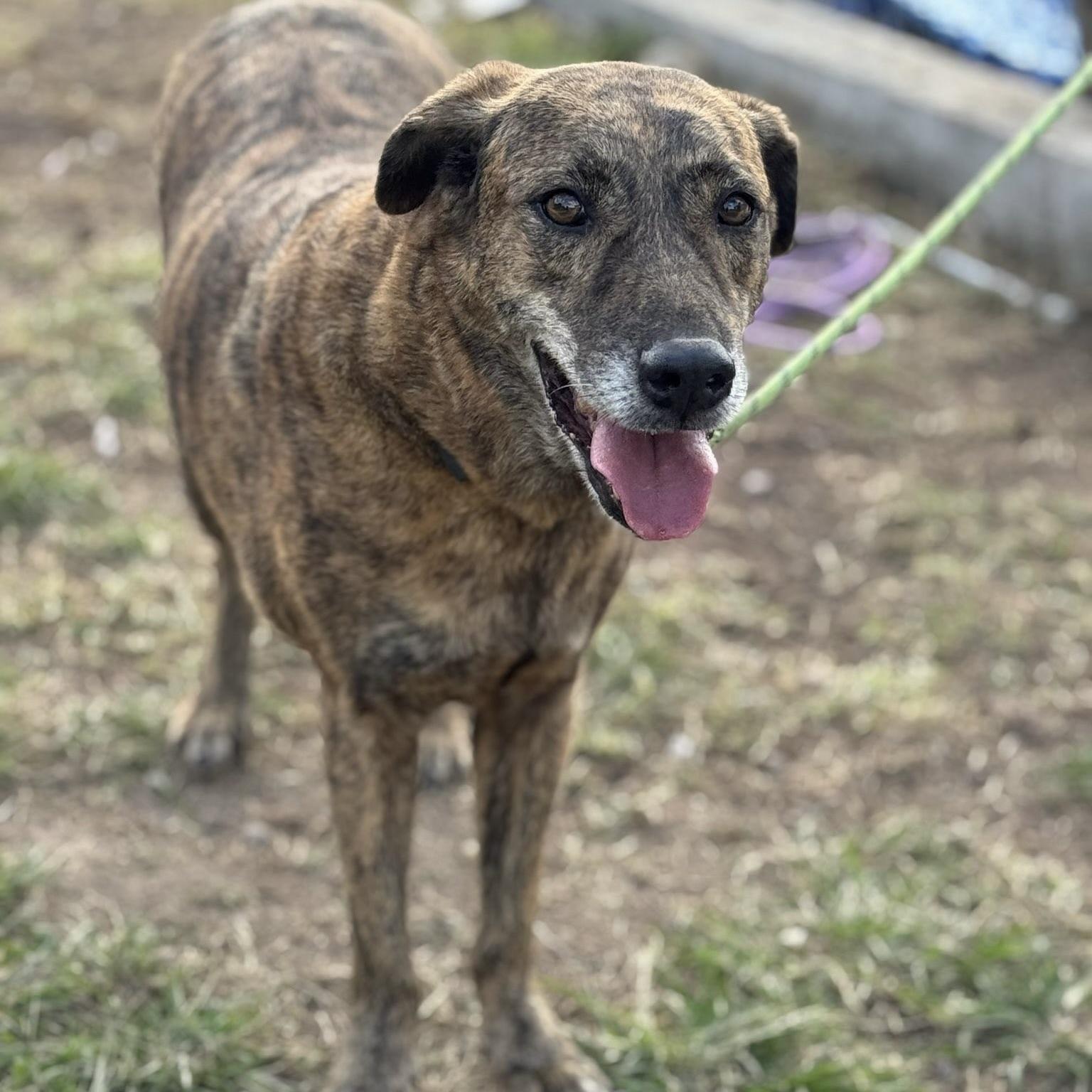 Tahoe (20260303-01) — thumbnail 3