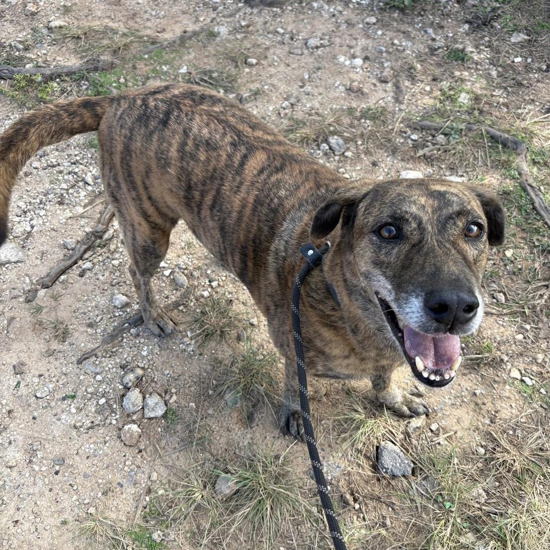 Tahoe (20260303-01) — thumbnail 4