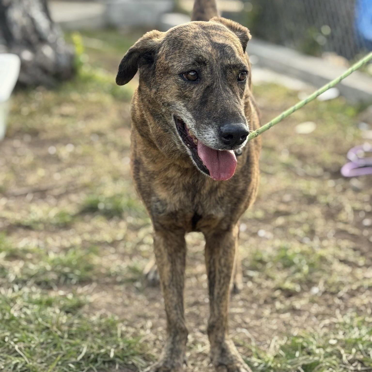 Tahoe (20260303-01) — thumbnail 5