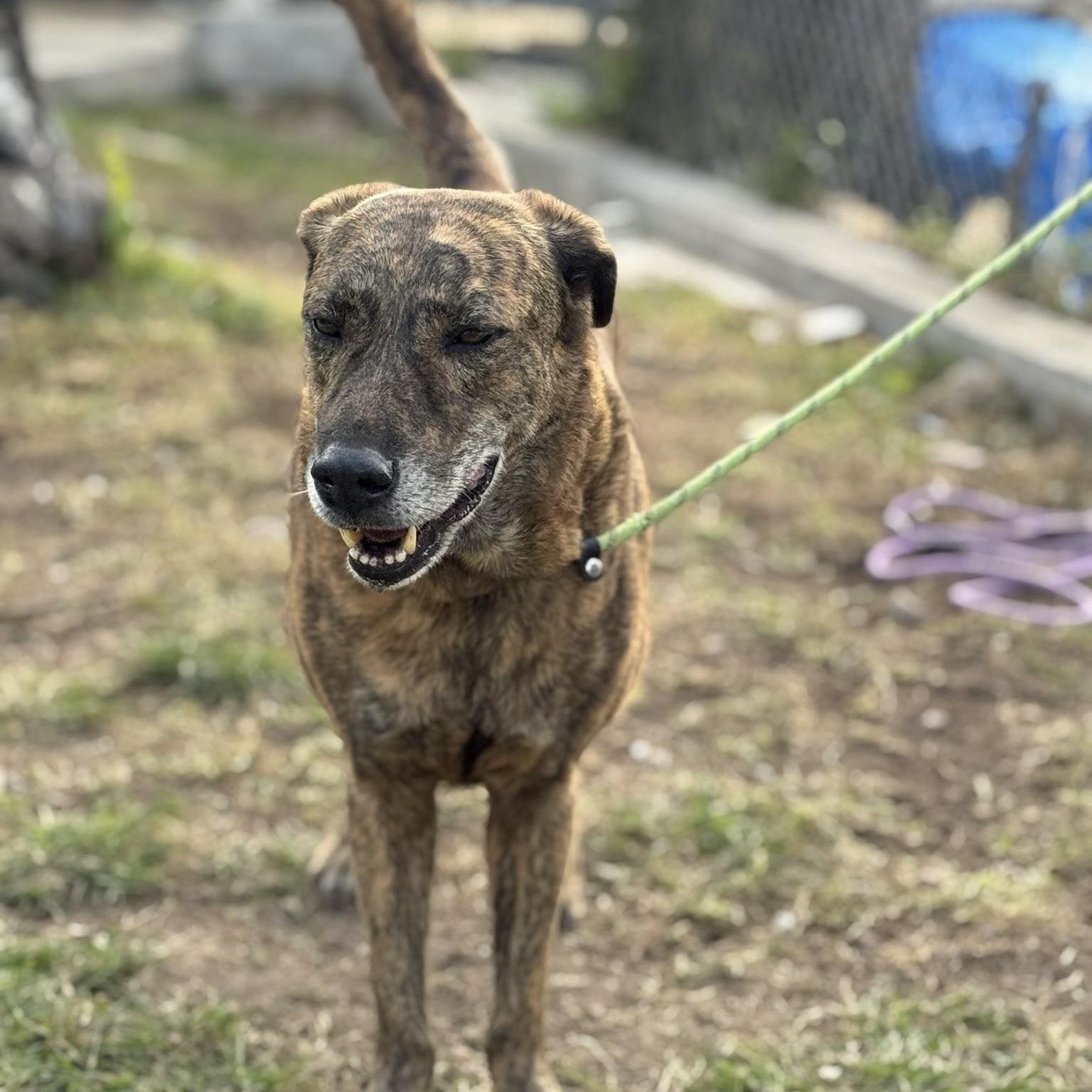 Tahoe (20260303-01) — thumbnail 6