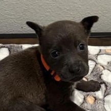 Samuel — thumbnail 2