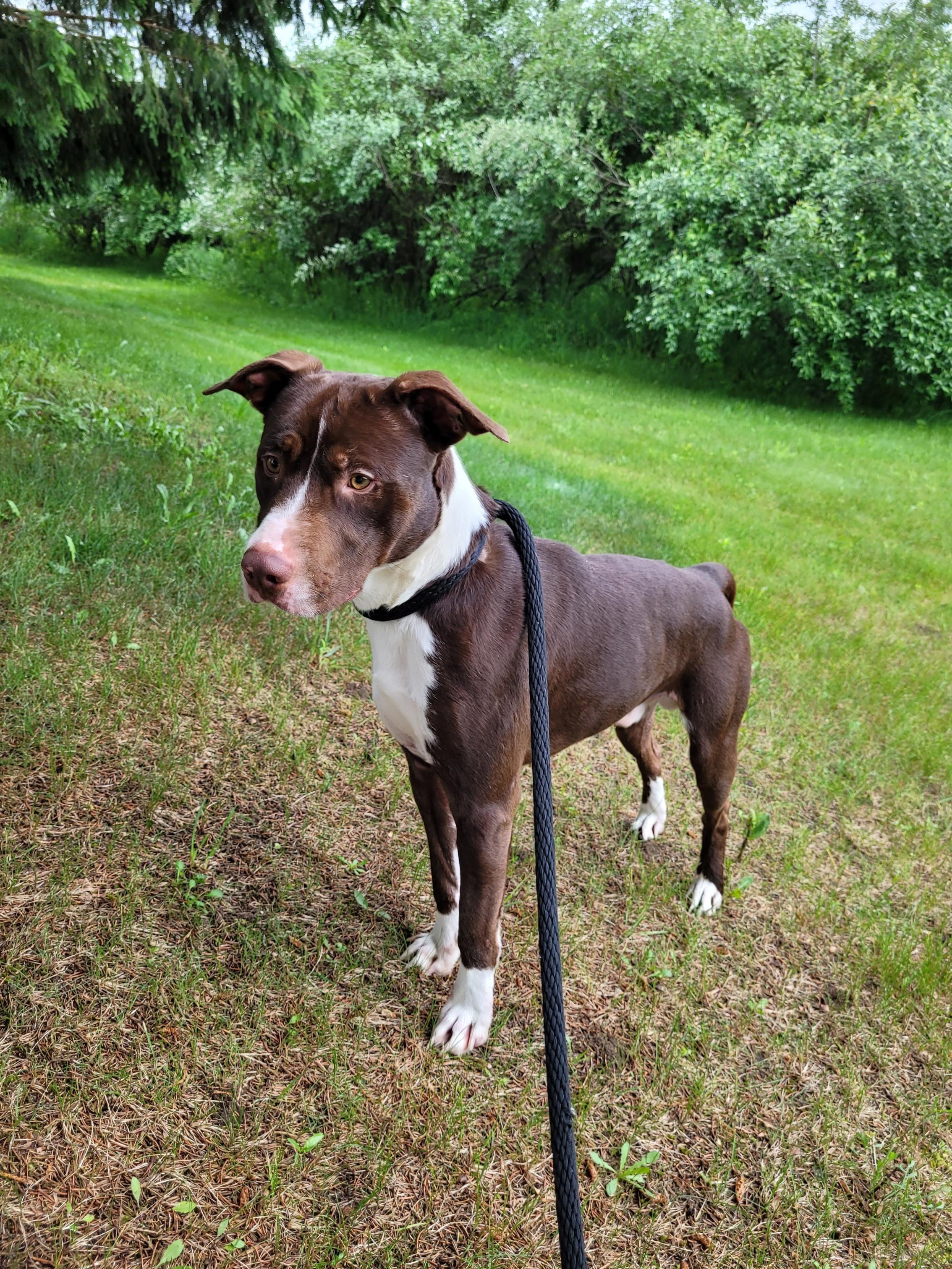Milo