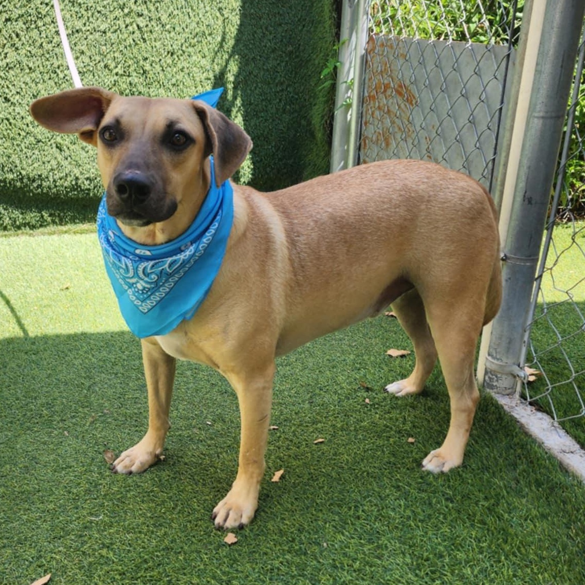 Jack — thumbnail 3