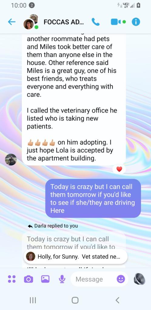 Enlarge LOLA, a Adoptable English Bulldog in Crossville, TN image 2/6