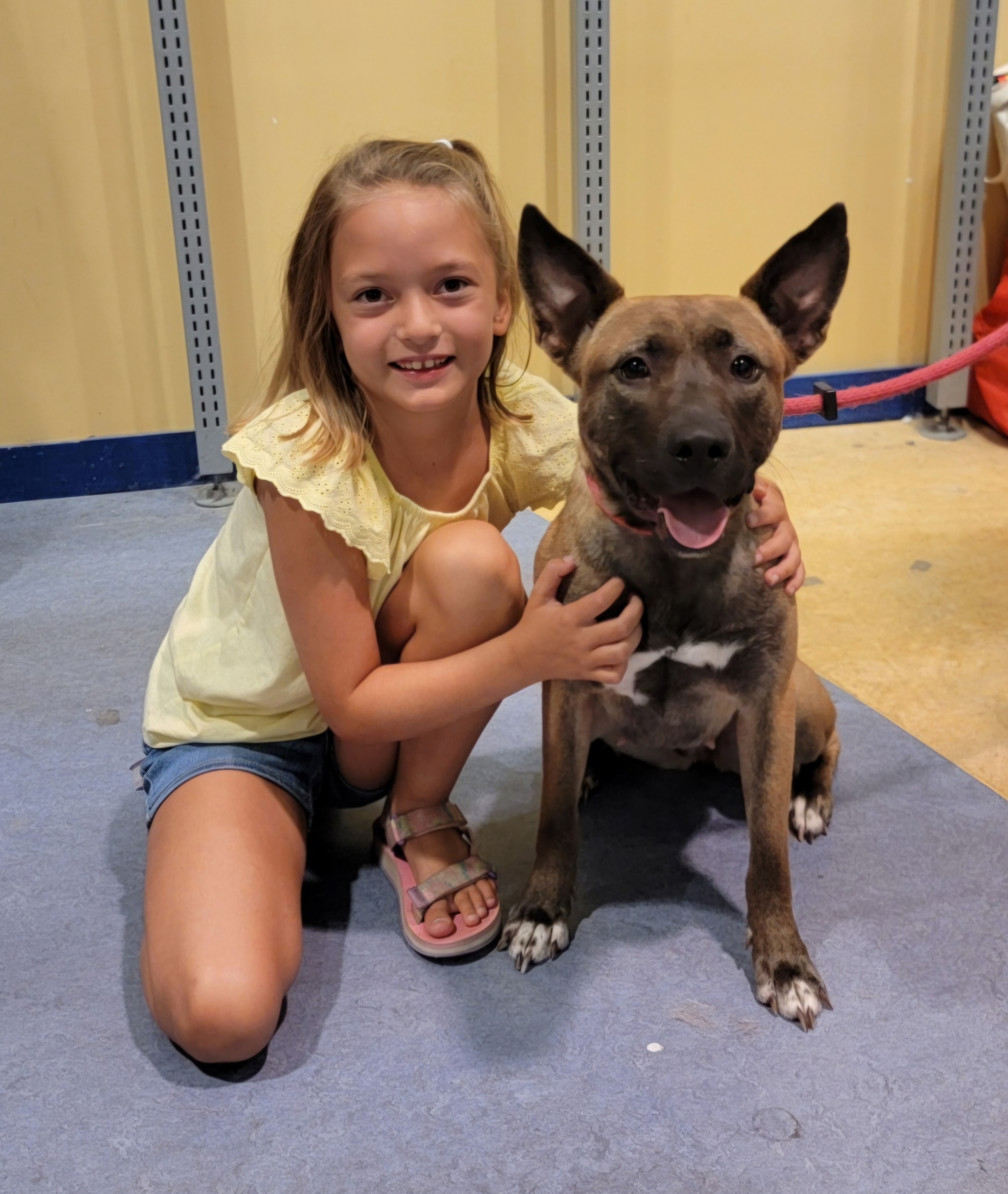 Princess, a Adoptable mixed breed in Sioux City, IA image 5/6