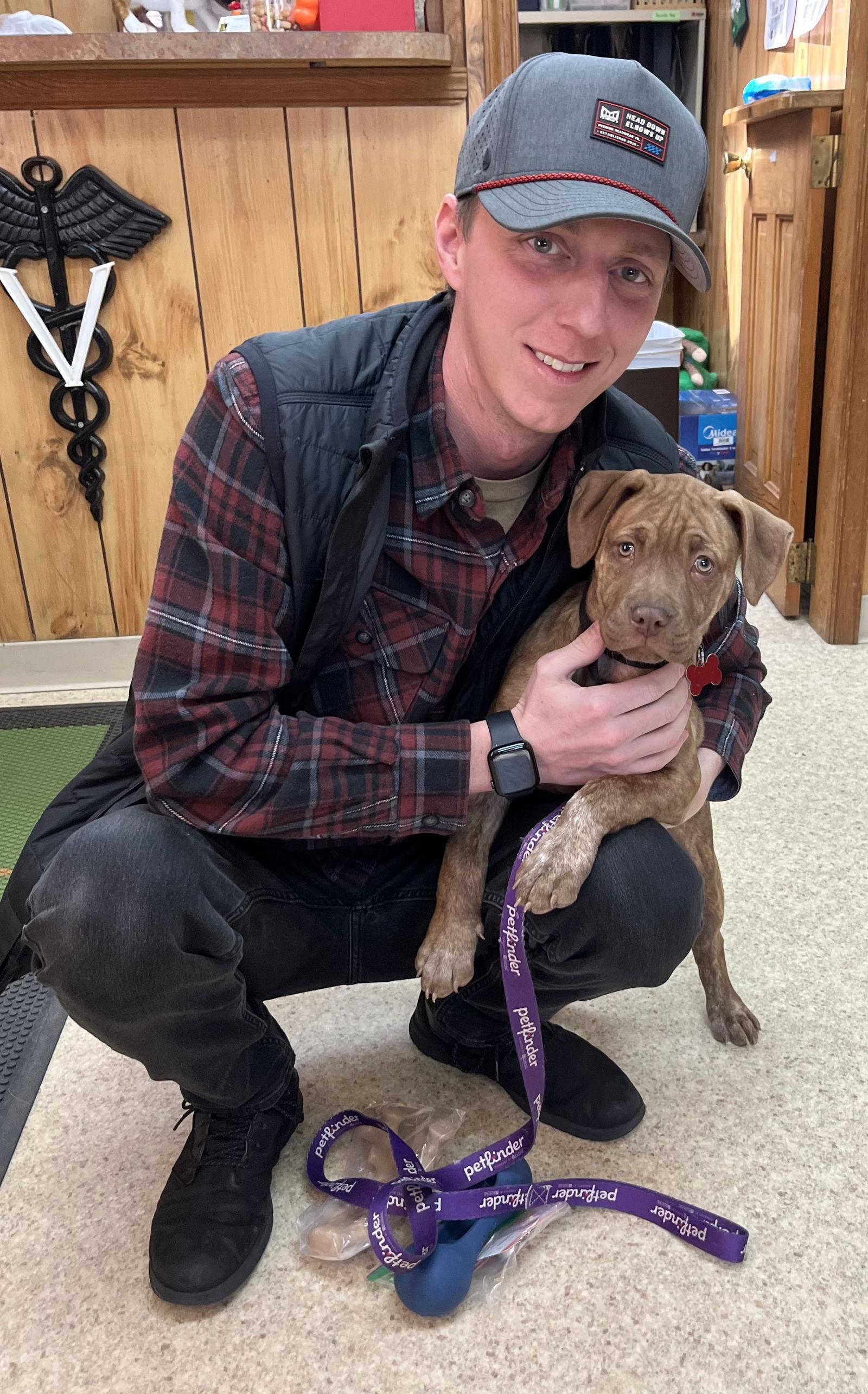 Enlarge Hope, a Adopted mixed breed in Blackwood, NJ image 3/3