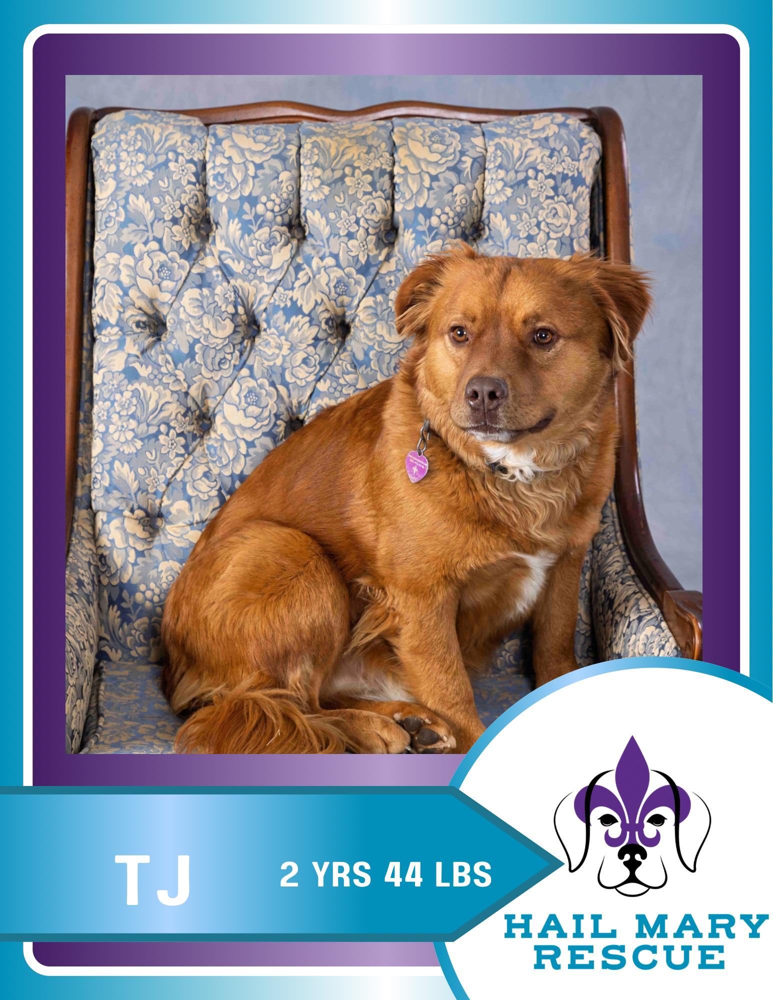 TJ