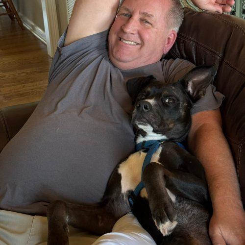 Prince, a Adoptable mixed breed in Georgetown, KY image 5/5