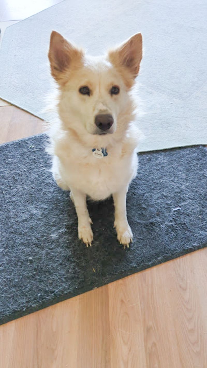 Chloe