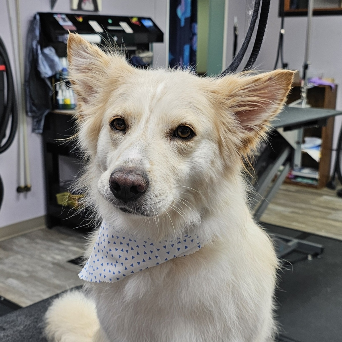 Chloe