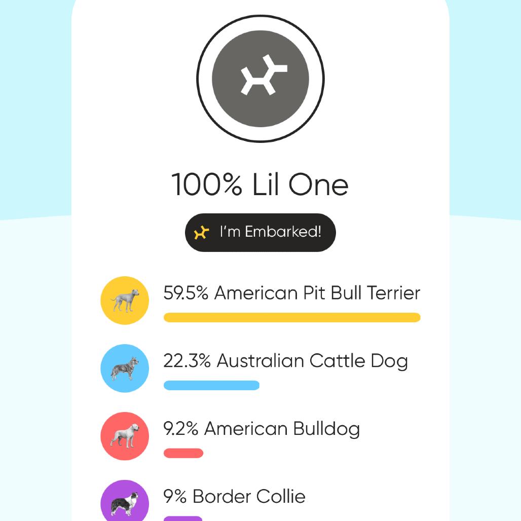 Lil' One, a Adoptable mixed breed in Spanish Fork, UT image 5/5