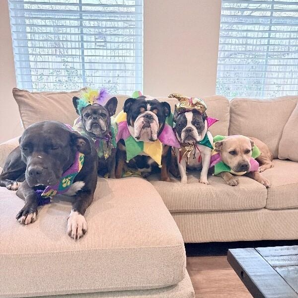 Galinda Gentle Loyal Lowkey Girl — thumbnail 3