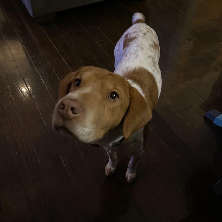 Penny    thumbnail 3