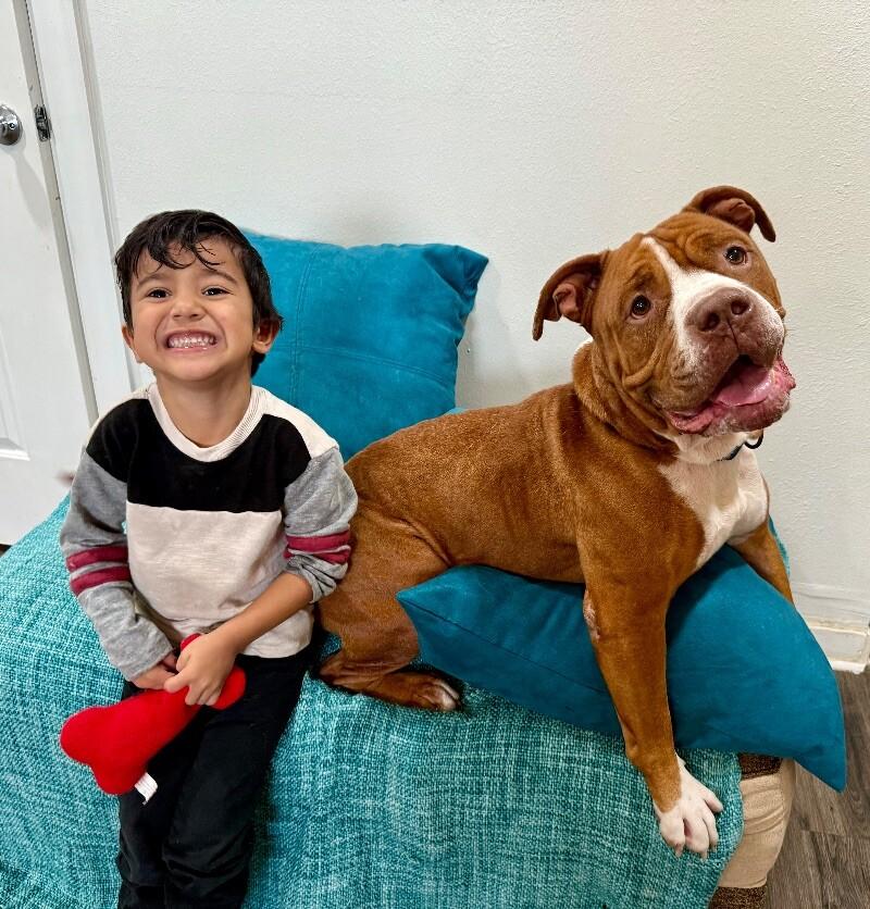 Guppy Delivers Giggles — thumbnail 2