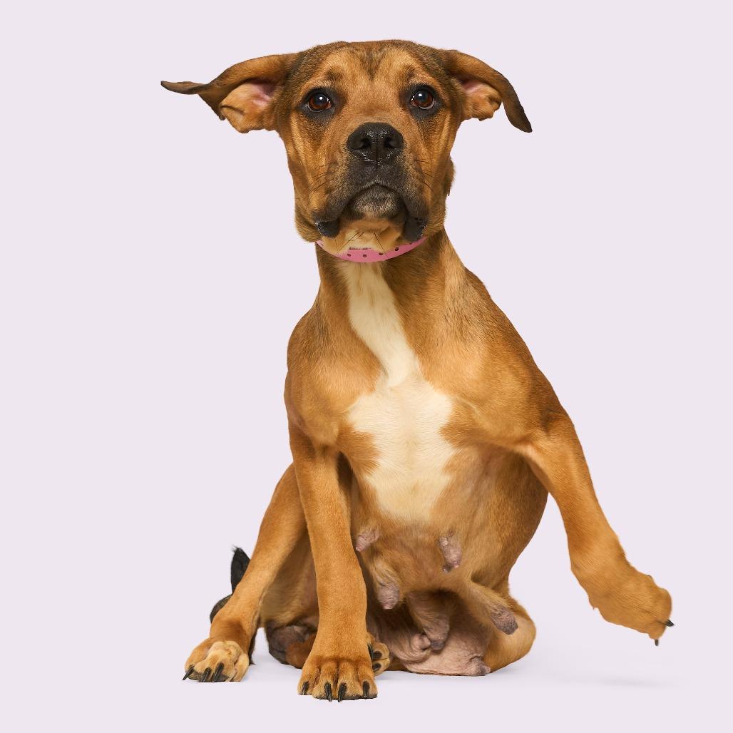 Debra — thumbnail 2