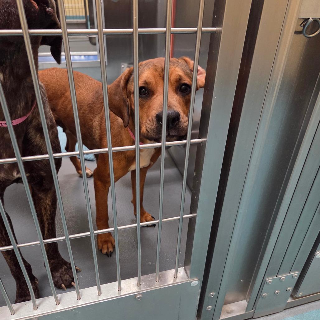 Debra — thumbnail 3