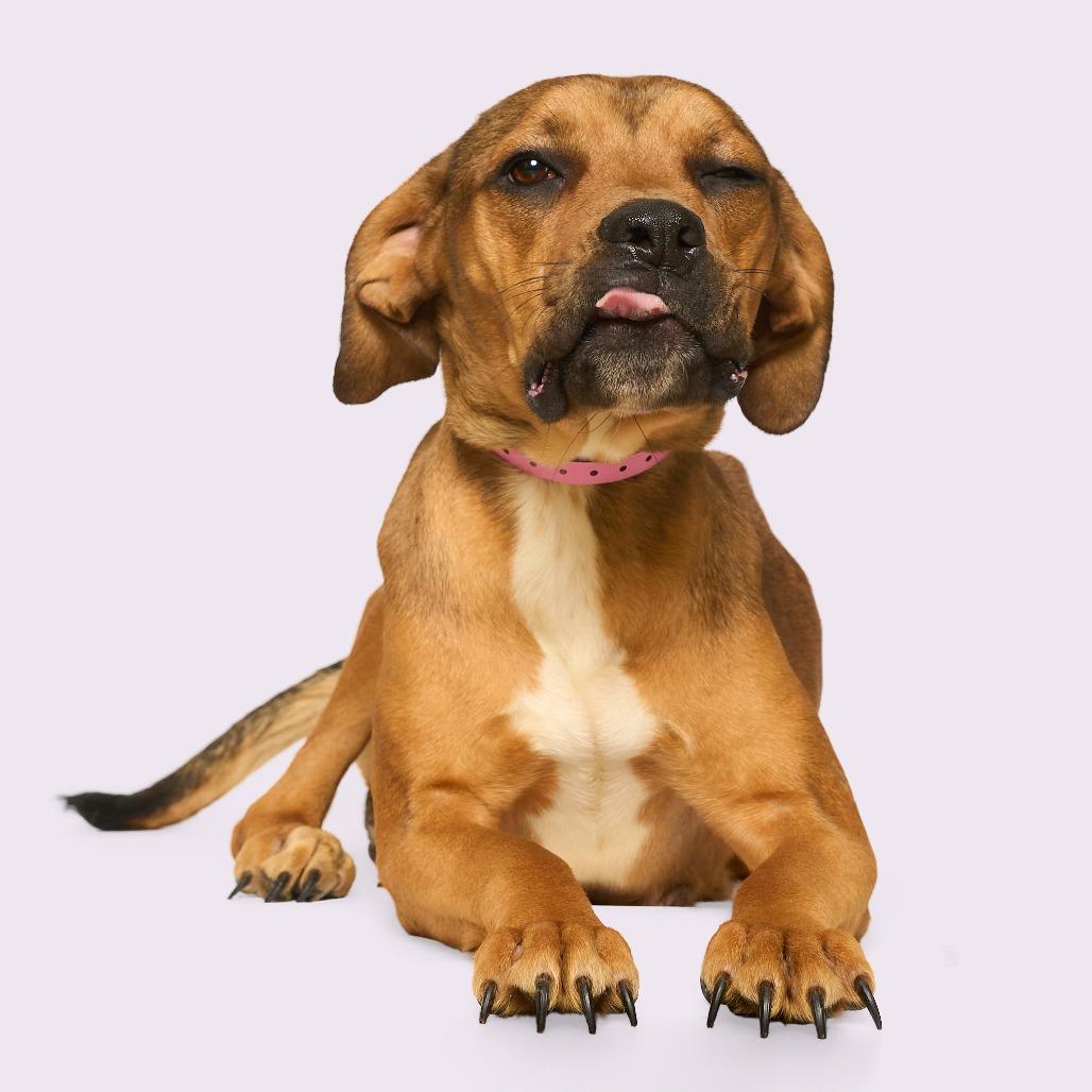 Debra — thumbnail 4