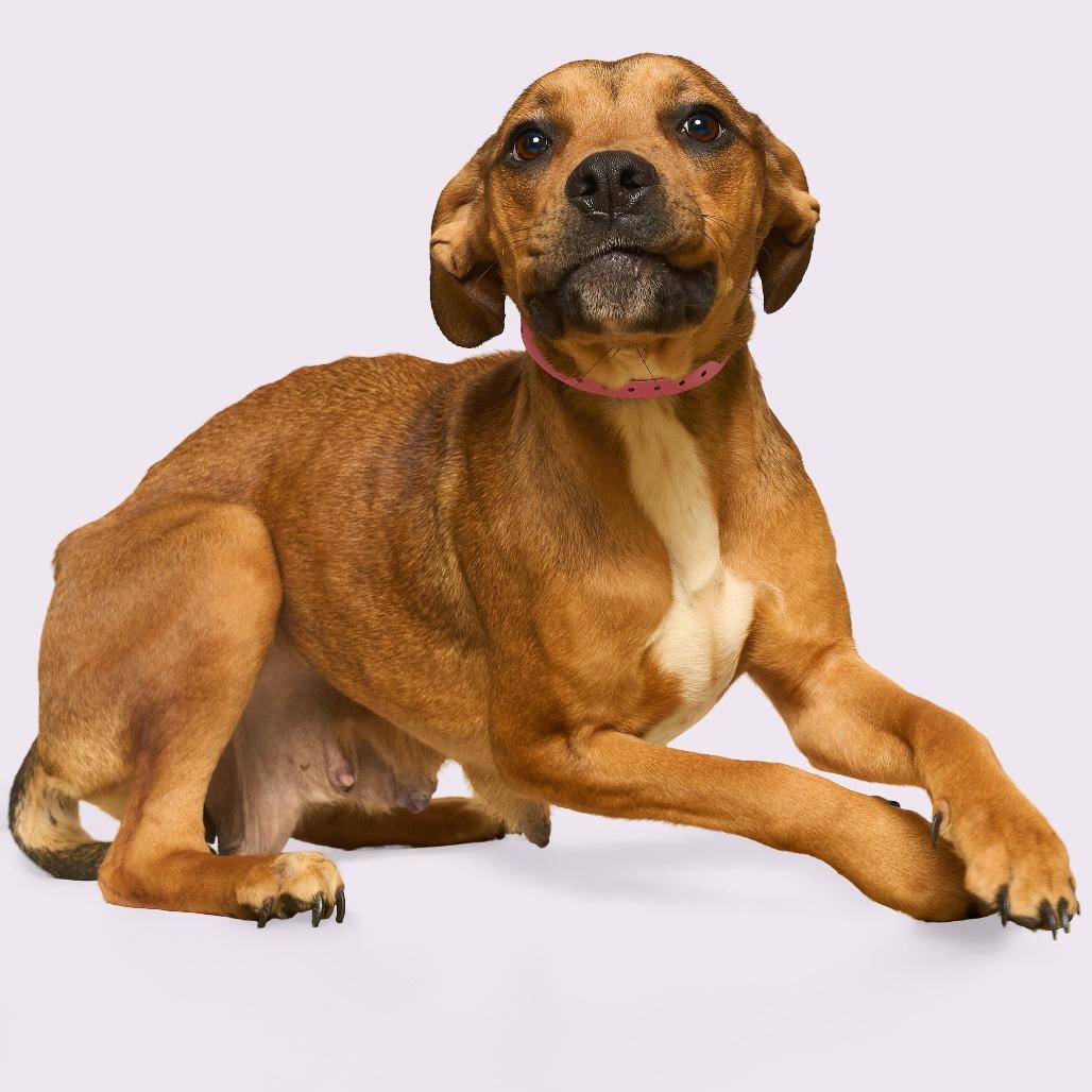 Debra — thumbnail 6