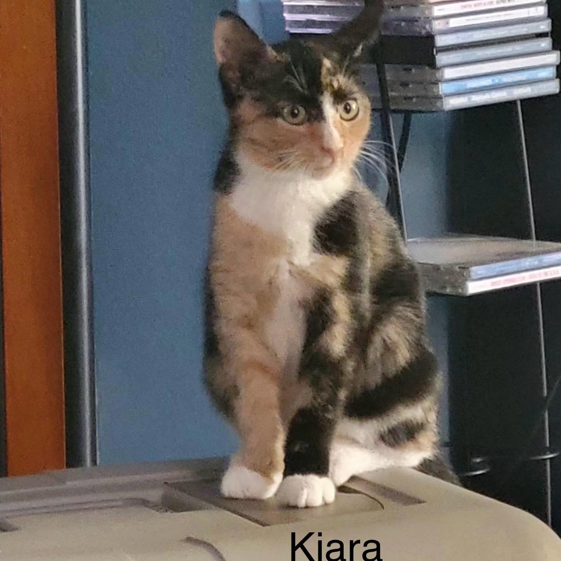 Kiara 1
